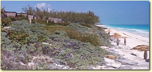 Plage libre - Villa Capricho