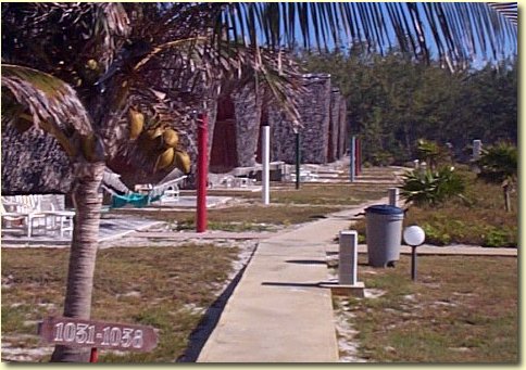 capricho-02.jpg 56.31 K