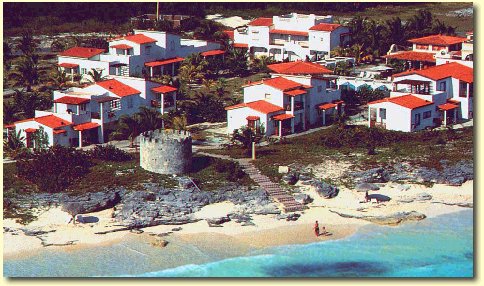 coral-07.jpg 60.55 K