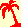 palm