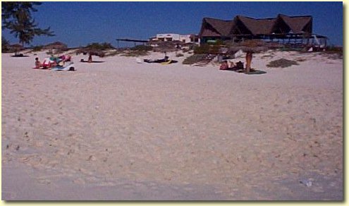 The beach - La plage