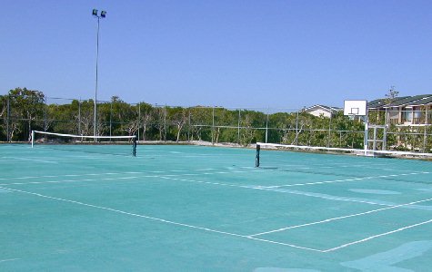 Activities-9.jpg 28.19 K