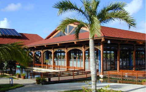 Bar-ElManglar-1.jpg 48.53 K