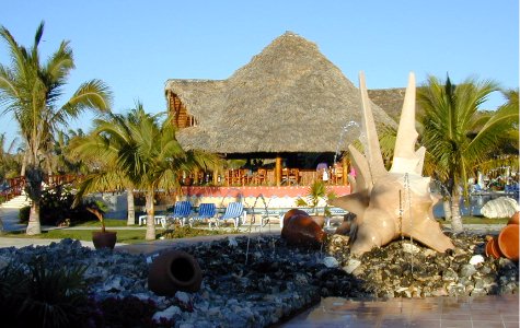 Bar-LaJutia-2.jpg 47.10 K