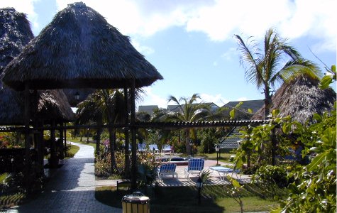 Bar-LosFlamencos-2.jpg 47.33 K