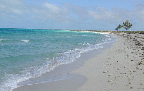 Beach-East-01.jpg 23.90 K