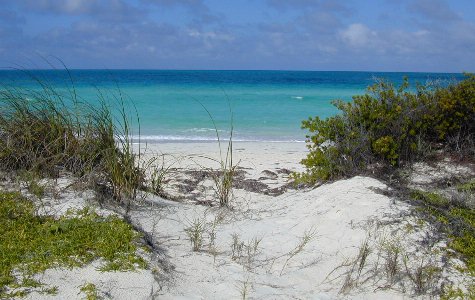 Beach-East-03.jpg 46.77 K