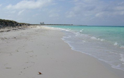 Beach-East-06.jpg 18.31 K