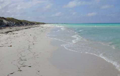 Beach-East-06a.jpg 22.59 K