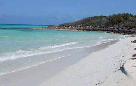 Beach-East-07.jpg 24.77 K