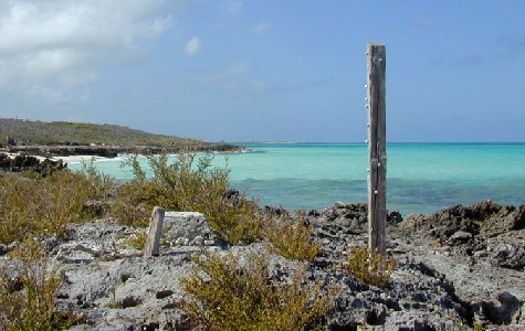 Beach-East-08.jpg 43.12 K