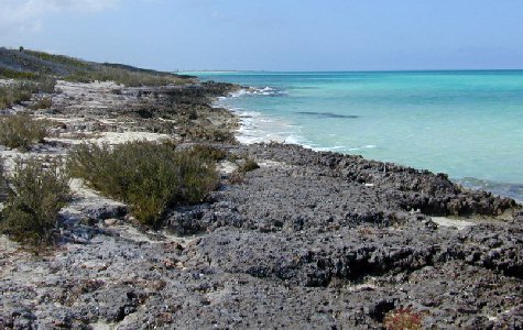 Beach-East-09.jpg 50.36 K