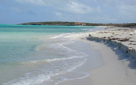 Beach-East-11.jpg 24.01 K