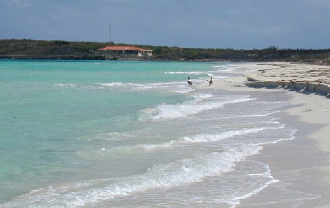 Beach-East-12.jpg 25.66 K