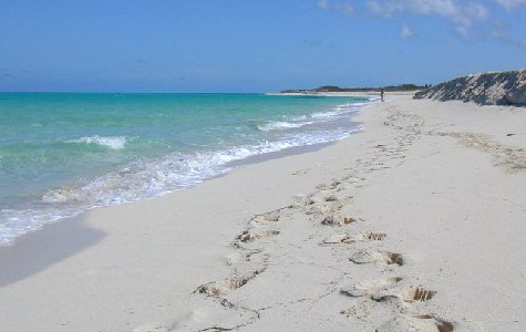 Beach-West-05.jpg 25.25 K