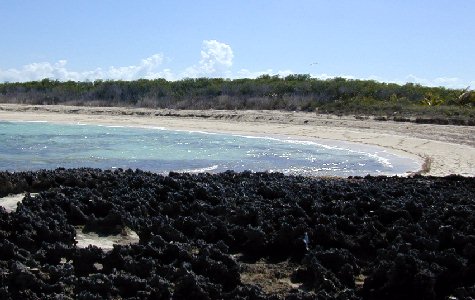 Beach-West-09.jpg 40.50 K