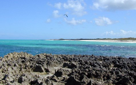 Beach-West-10.jpg 40.57 K