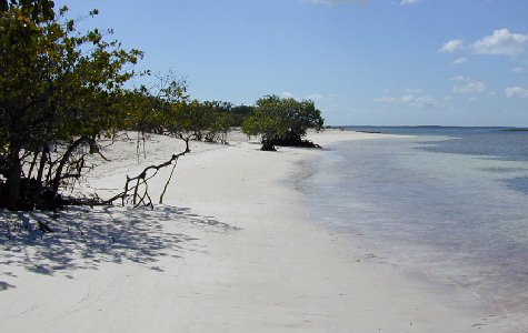 Beach-West-11.jpg 32.50 K