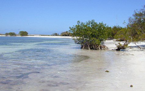 Beach-West-12.jpg 34.48 K