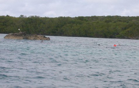 Catamaran-12.jpg 29.23 K