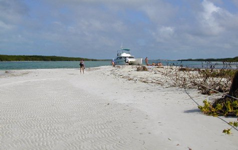 Catamaran-14.jpg 30.00 K