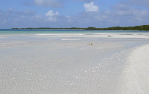 Catamaran-17.jpg 20.45 K