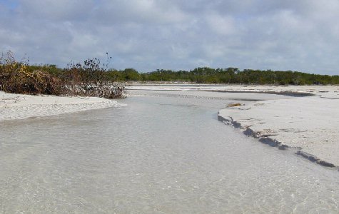 Catamaran-18.jpg 28.84 K