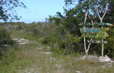 East-CSM-05.jpg 59.30 K