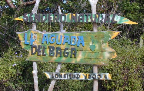 East-CSM-06.jpg 66.64 K