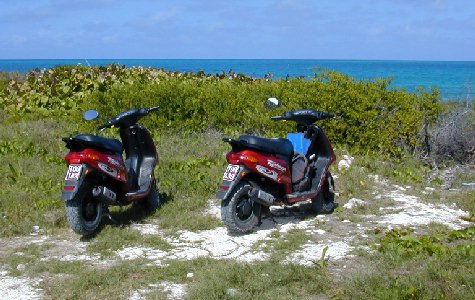 East-CSM-08.jpg 52.43 K