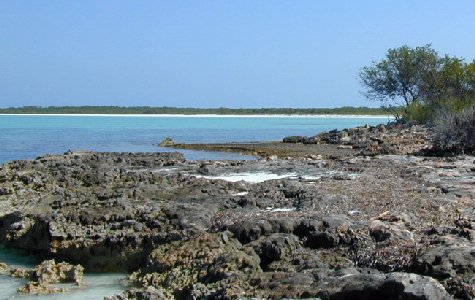 Ensenachos-06.jpg 44.27 K