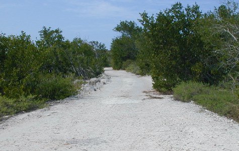 Ensenachos-07.jpg 47.17 K