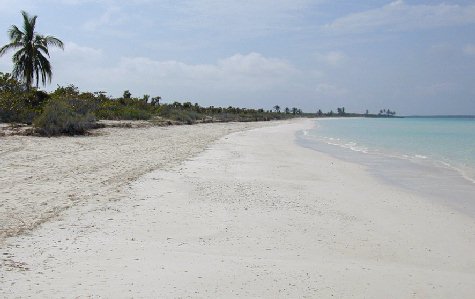 Ensenachos-09.jpg 27.07 K