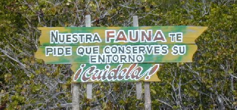 Ensenachos-13.jpg 44.58 K