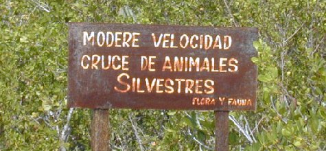 Ensenachos-14.jpg 42.09 K