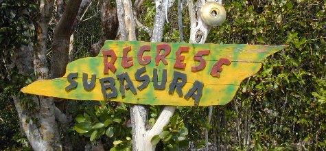 Ensenachos-15.jpg 48.21 K