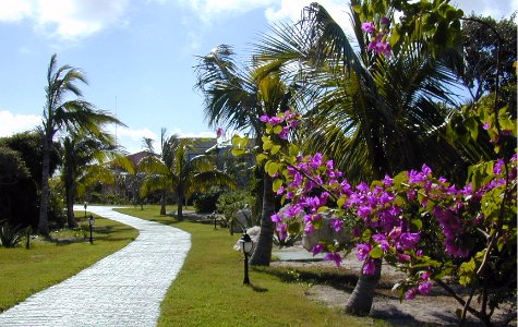 Gardens-1.jpg 57.36 K