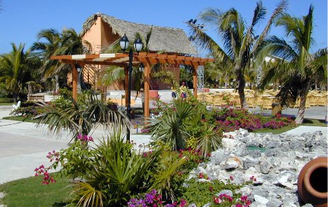 Gardens-3.jpg 62.41 K