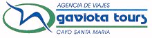 Gaviota Tours