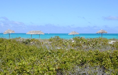 Hotel-beach-11.jpg 45.51 K