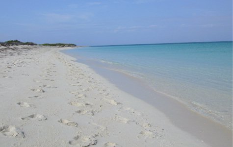 Hotel-beach-14.jpg - 18.61 K