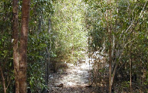 Ligus-20.jpg 73.99 K