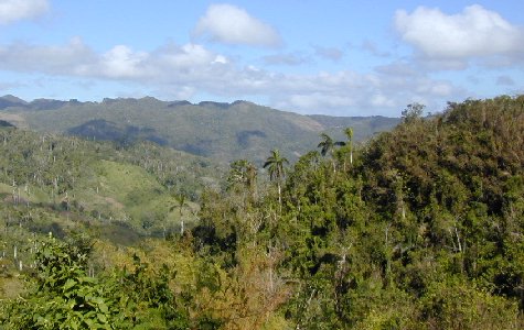 RamboTour-02.jpg 45.36 K