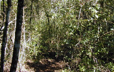 RamboTour-04.jpg 85.57 K