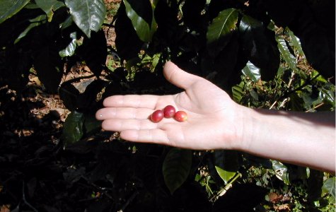 RamboTour-05.jpg 36.03 K