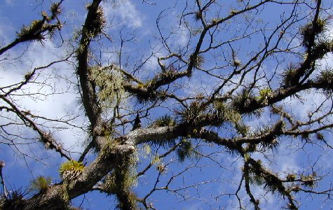 RamboTour-07.jpg 64.79 K