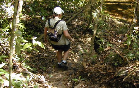 RamboTour-20.jpg 71.11 K