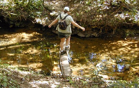 RamboTour-21.jpg 69.28 K