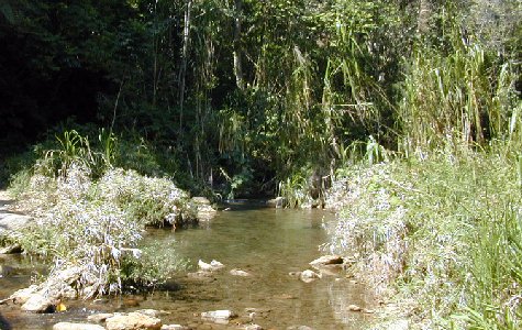 RamboTour-26.jpg 66.70 K