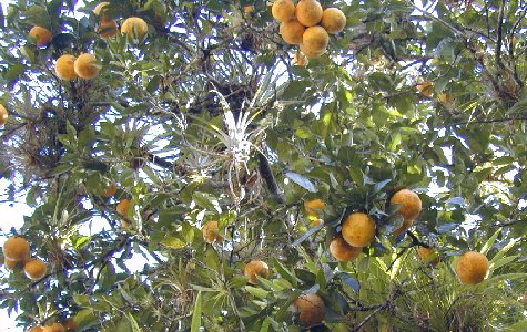 RamboTour-33.jpg 73.28 K